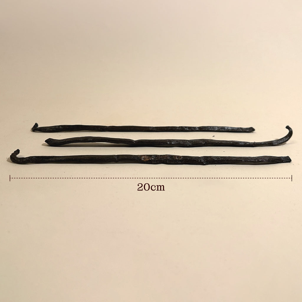 Madagascar Bourbon Vanilla Pods XL