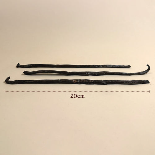 Madagascar Bourbon Vanilla Pods XL