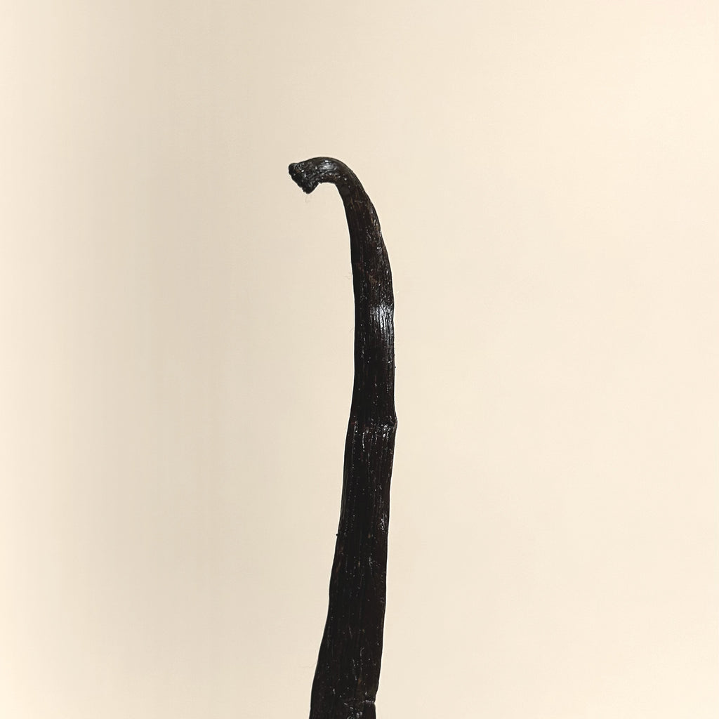 Madagascar Bourbon Vanilla Pods XL