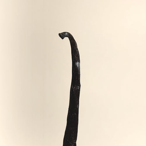 Madagascar Bourbon Vanilla Pods XL