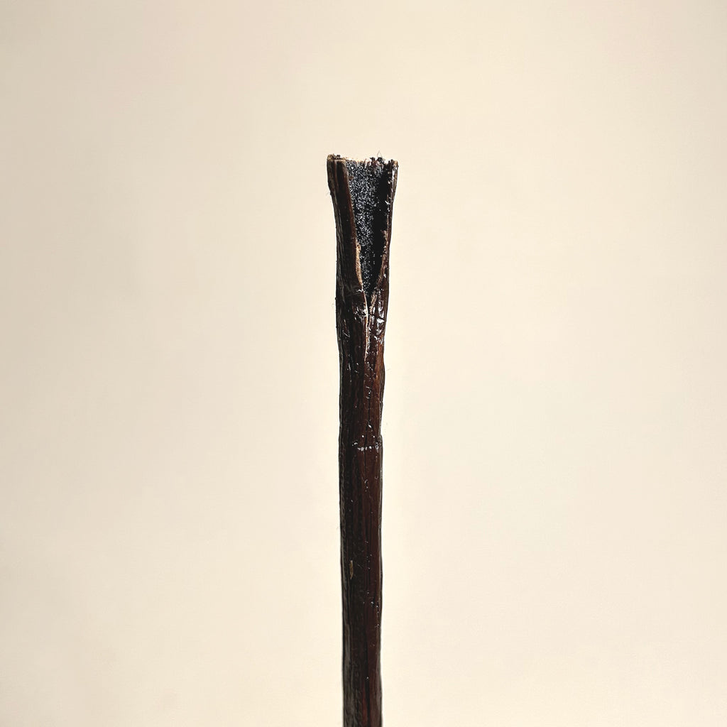 Madagascar Bourbon Vanilla Pods XL