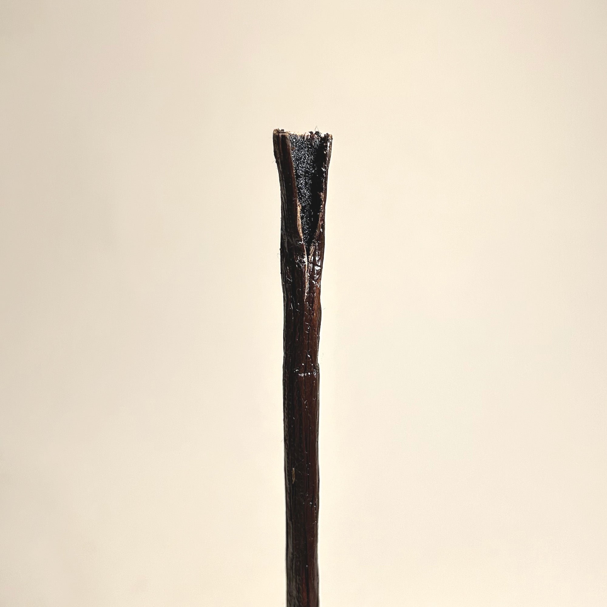 Madagascar Bourbon Vanilla Pods XL