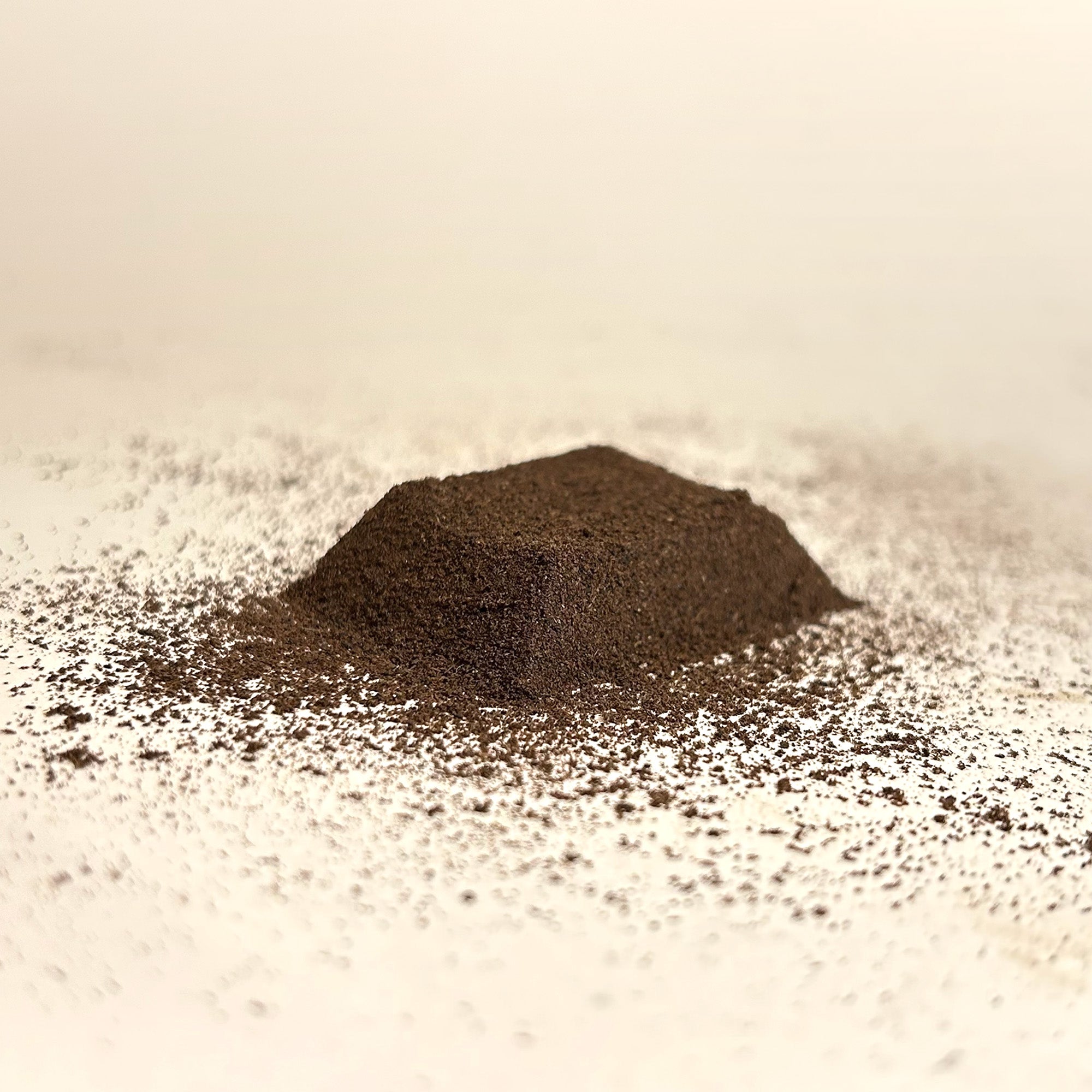 Madagascar Bourbon vanilla powder