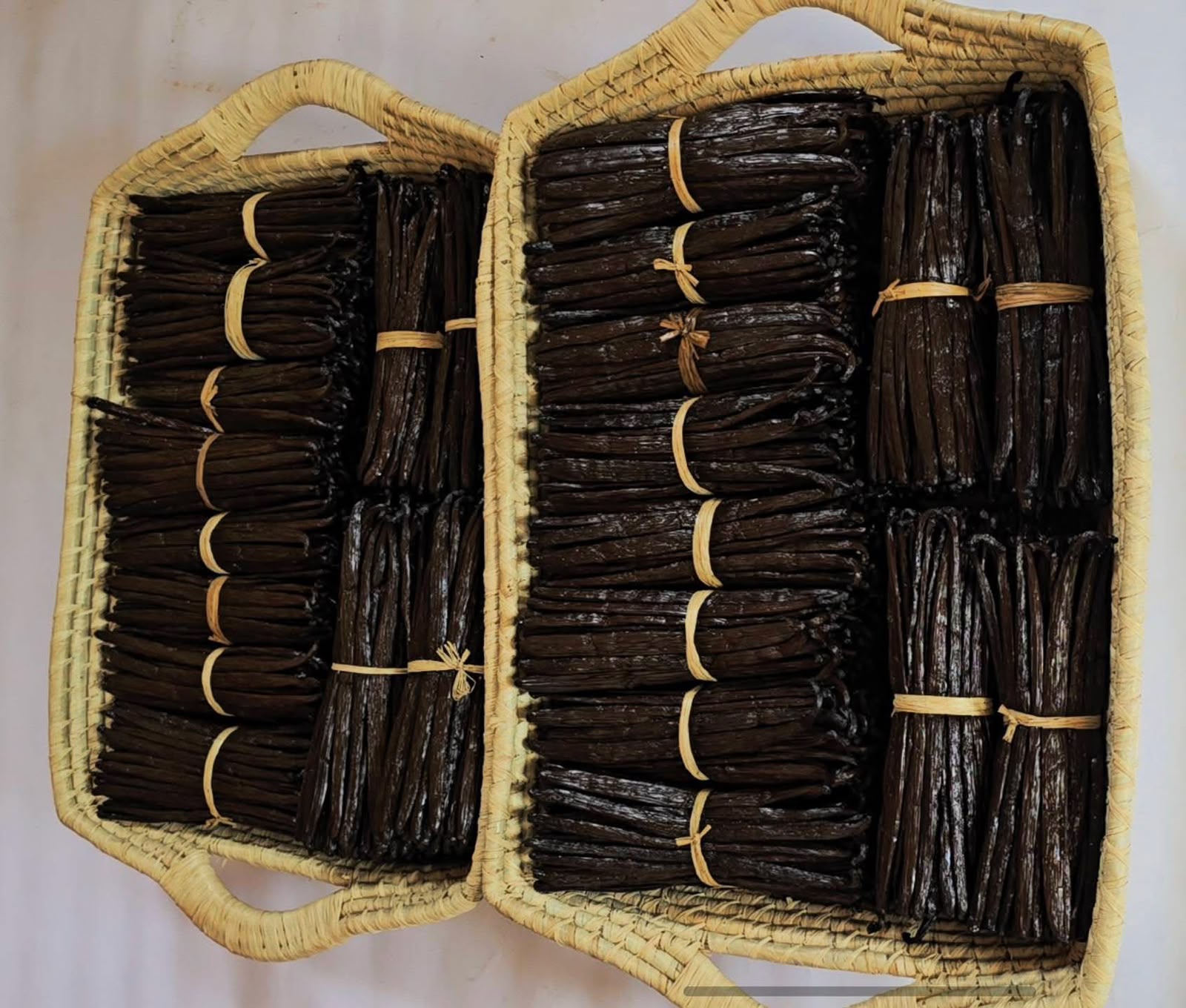 Madagascar Bourbon Vanilla Pods XL